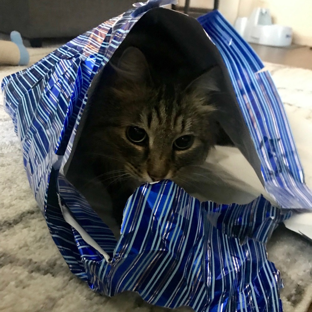 Meet your Posher, Katie